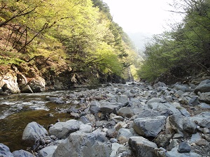 渓流イメージ写真